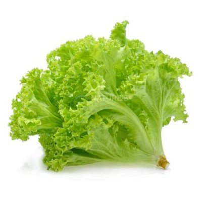 Regular Lettuce Pack